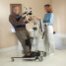 Invacare Reliant Plus 350 Stand-Up Electric Patient Lift - Transfer